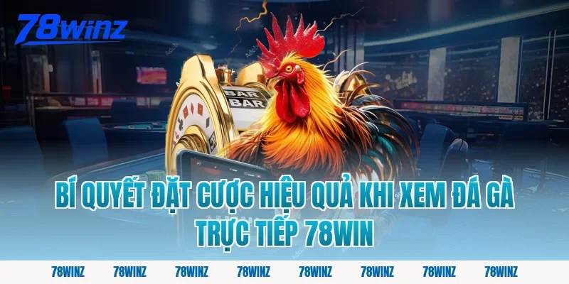 Bí Quyết Đặt Cược Hiệu Quả Khi Xem Đá Gà Trực Tiếp 78Win