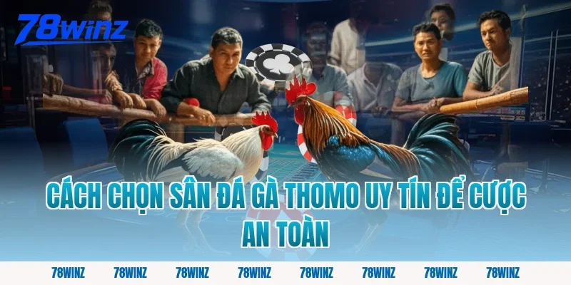 Cách Chọn Sân Đá Gà Thomo Uy Tín Để Cược An Toàn