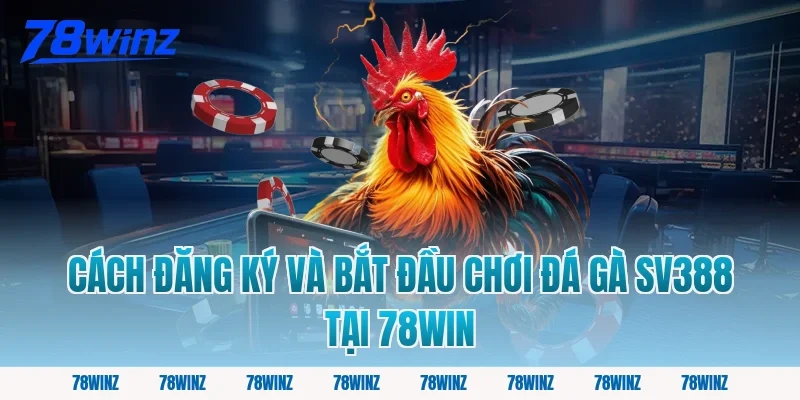 Cách đăng ký và bắt đầu chơi đá gà SV388 tại 78win