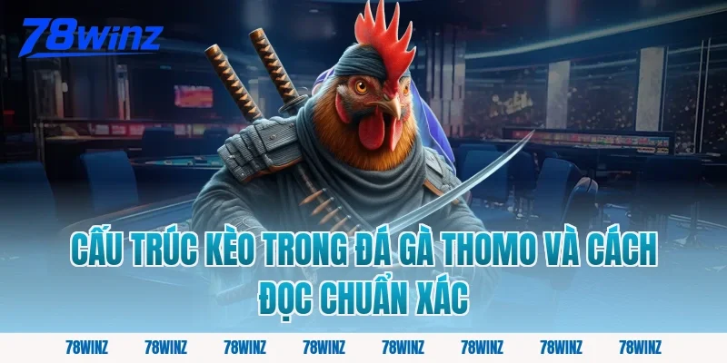 Cấu Trúc Kèo Trong Đá Gà Thomo Và Cách Đọc Chuẩn Xác