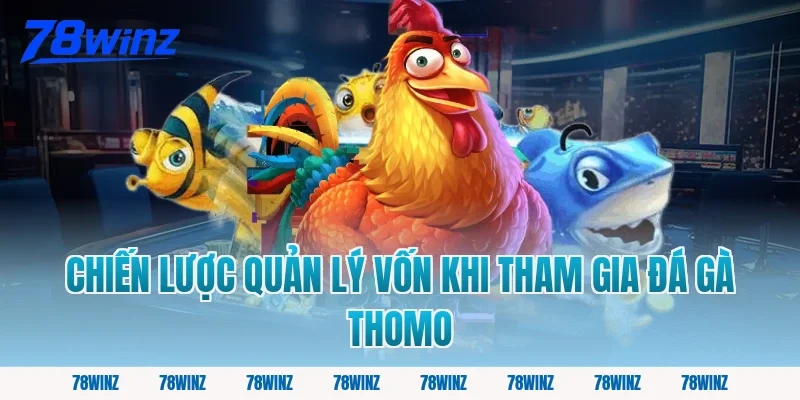 Chiến Lược Quản Lý Vốn Khi Tham Gia Đá Gà Thomo