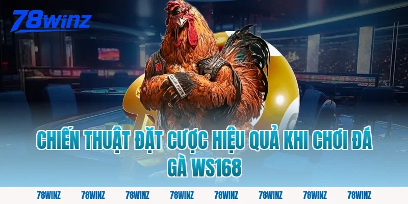 Chiến Thuật Đặt Cược Hiệu Quả Khi Chơi Đá Gà WS168