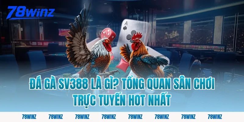 Đá gà SV388 là gì? Tổng quan sân chơi trực tuyến hot nhất