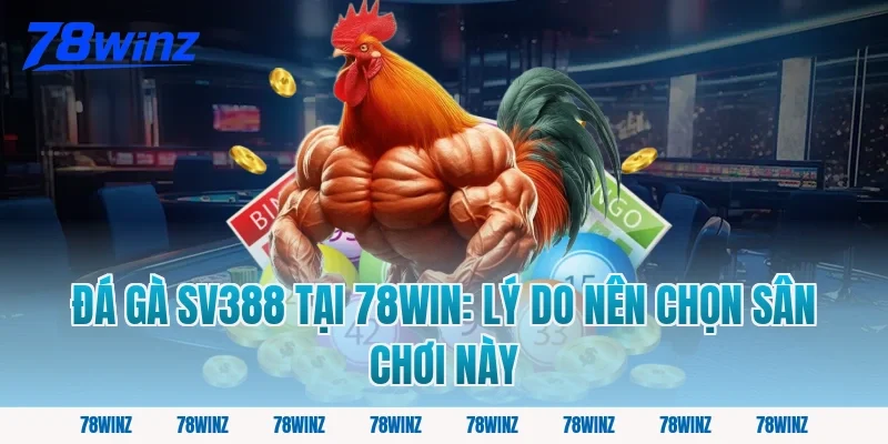 Đá gà SV388 tại 78win: Lý do nên chọn sân chơi này
