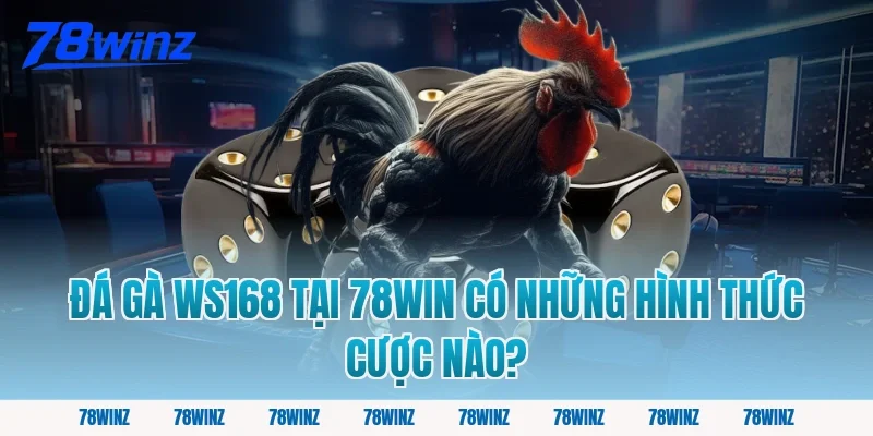Đá Gà WS168 Tại 78win Có Những Hình Thức Cược Nào?