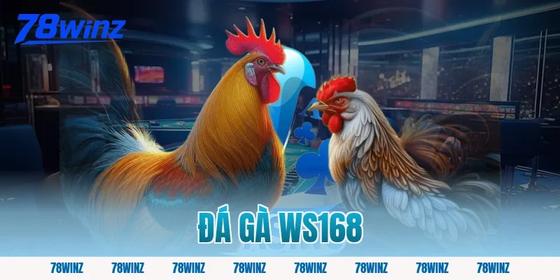 đá gà ws168