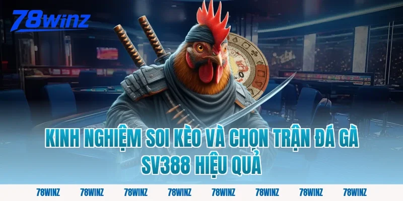 Kinh nghiệm soi kèo và chọn trận đá gà SV388 hiệu quả