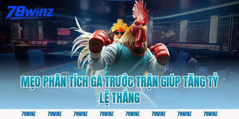 Mẹo Phân Tích Gà Trước Trận Giúp Tăng Tỷ Lệ Thắng