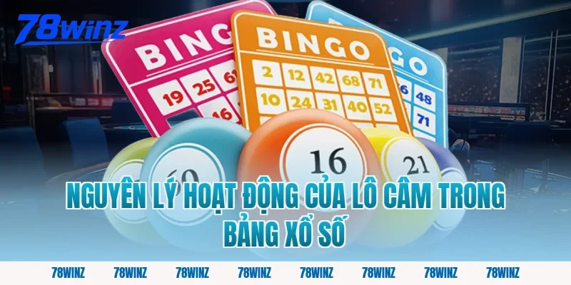 Nguyên Lý Hoạt Động Của Lô Câm Trong Bảng Xổ Số