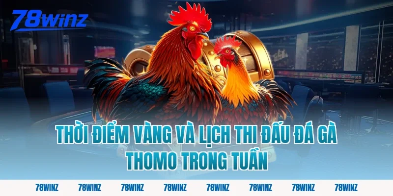 Thời Điểm Vàng Và Lịch Thi Đấu Đá Gà Thomo Trong Tuần